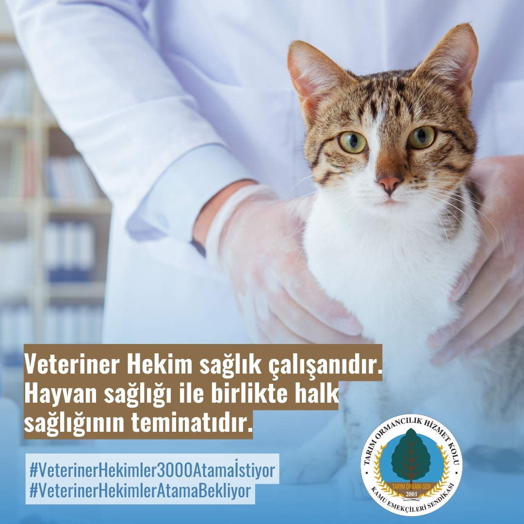 Veteriner Hekim sağlık çalışanıdır. 
Hayvan sağlığı ile birlikte halk sağlığının teminatıdır.
#VeterinerHekimler3000Atamaİstiyor #VeterinerHekimlerAtamaBekliyor