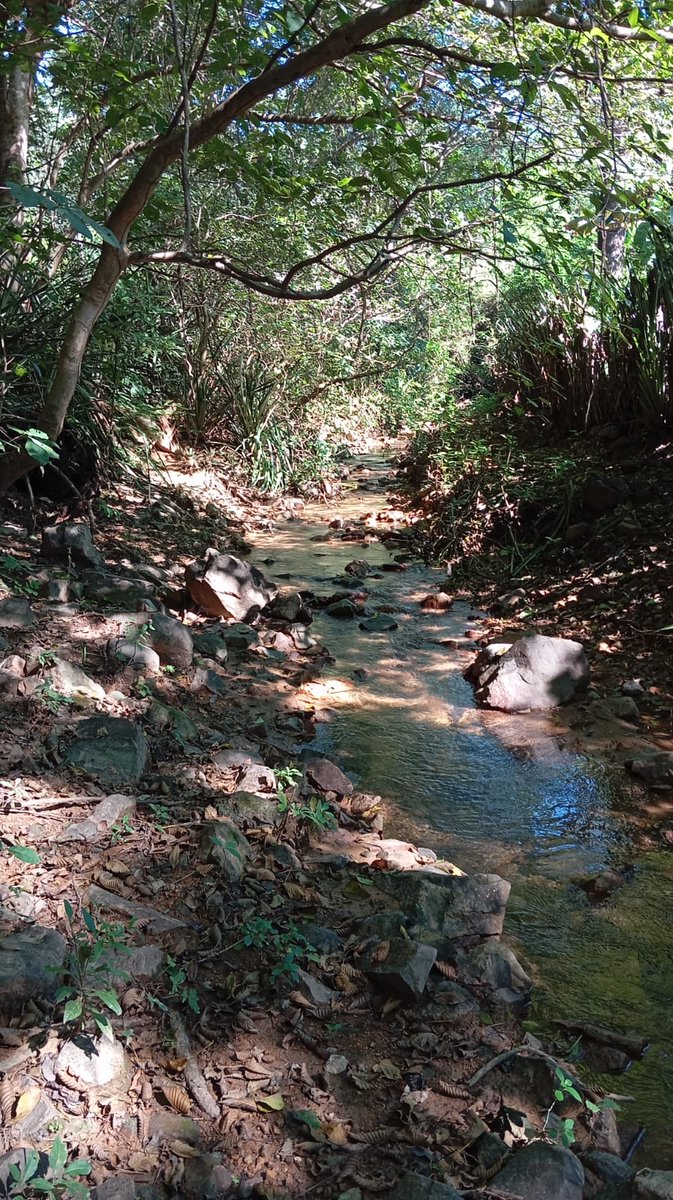 #Chinandega|Nicaragua: 💧 Iniciamos levantamiento de información de 5 fincas en La Danta, Río Tecomapa, para diseñar planes de finca agroecológicos que conserven las zonas de recarga hídrica al norte de Chinandega 🌿.
Con apoyo de <a href="/adtgalicia/">Amigas da Terra</a>, #ADENOCH, <a href="/AmigosTierraEsp/">Amigas de la Tierra</a> y <a href="/Xunta/">Xunta de Galicia</a>.