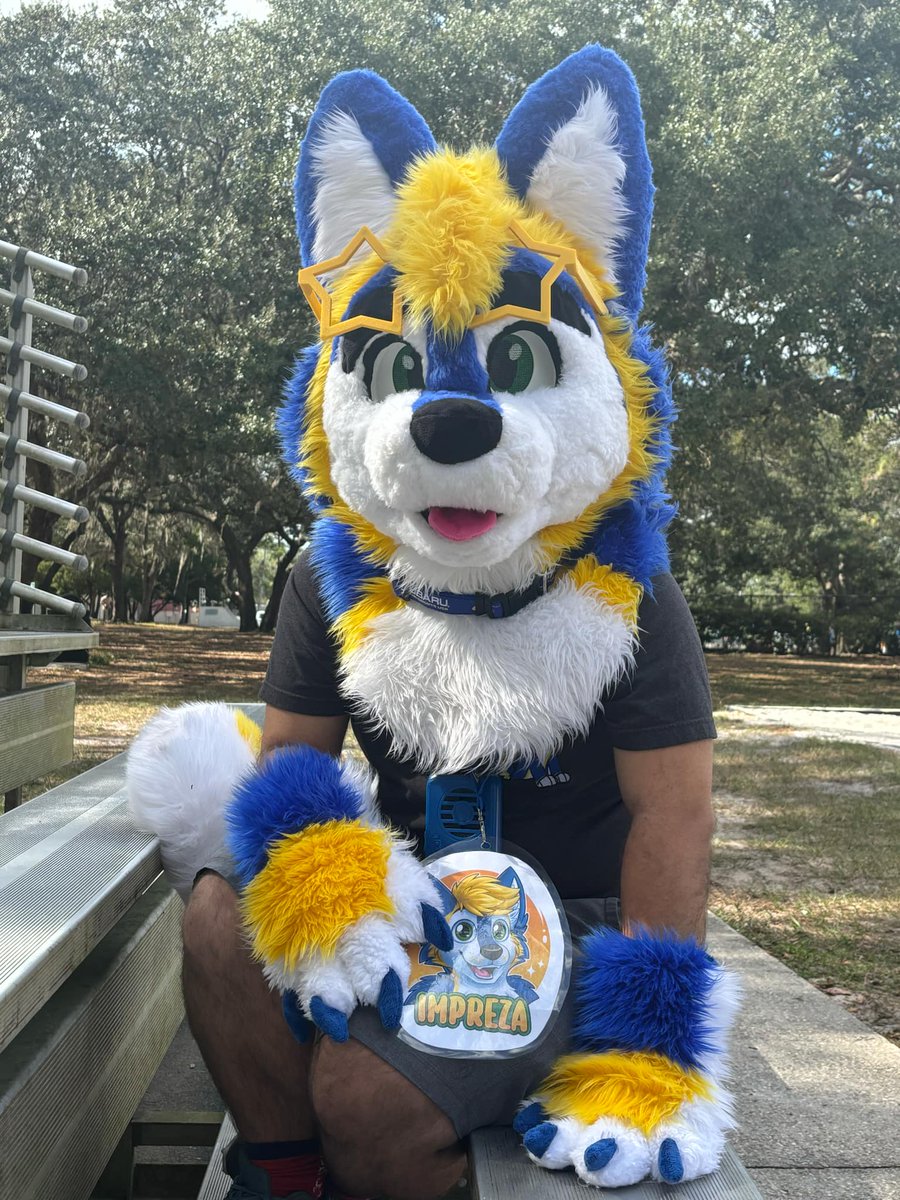 ImprezaTheWolf's tweet photo. Happy First #FursuitFriday of December! 💙💛✨️
📸: e.s.bliss (Instagram)
#mascot #cosplay #furryfandom #furrycommunity #floridafur #floridafurry #floridafurries #subie #subawoo #subuwu #Subaru #furmeet #furmeets #furryfandom #furryczsk #fursuiter #fursona #fursuit #Florida https://t.co/fRYzCh3G0q