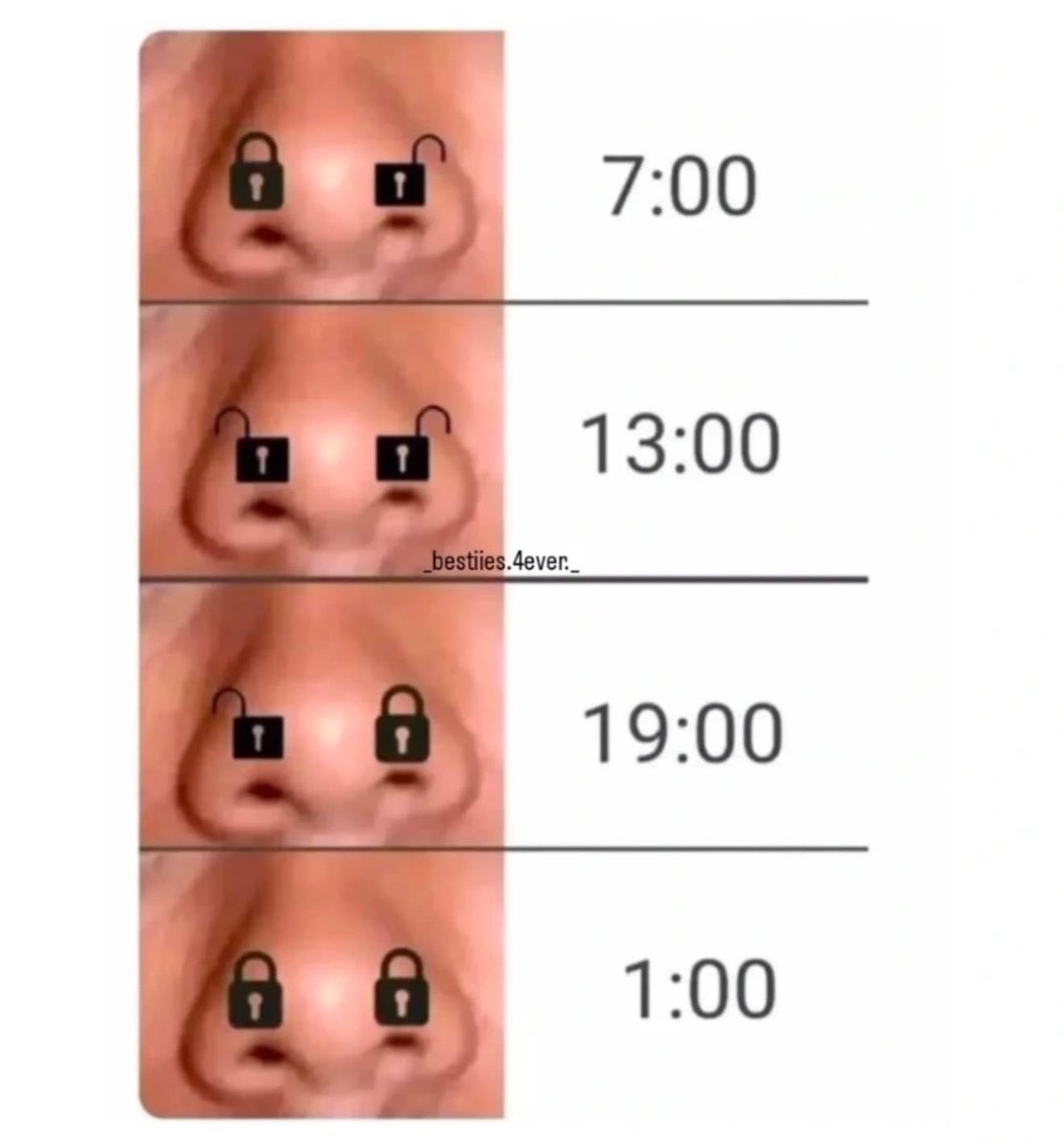 Benim burun deliklerinin günlük mesaisi