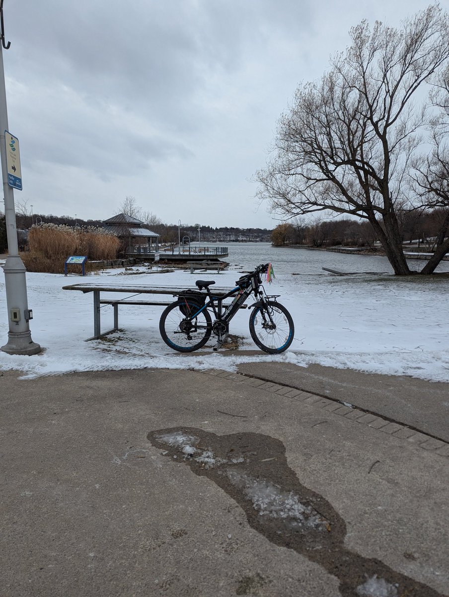 cycletherapyHam's tweet photo. Down at the office for #SlowRollFriday https://t.co/H68fludcEx