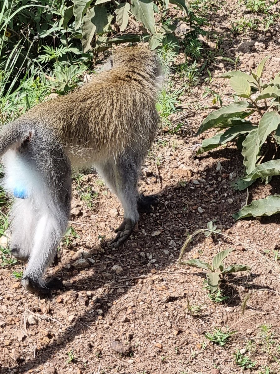 <a href="/CheekyUnts/">Cheeky Unts</a> 🤣🤣🤣

Blue balls only