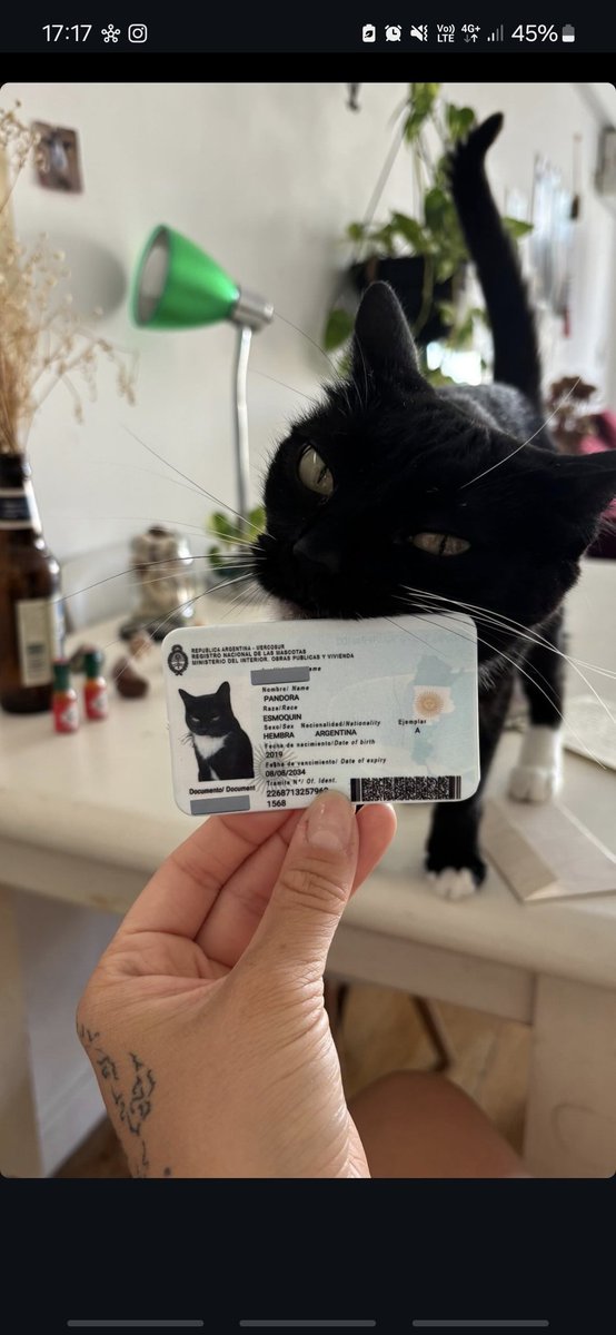 Una amiga le hizo un dni a su gatita y le pusieron RAZA: ESMOQUIN estoy llorando encima la foto