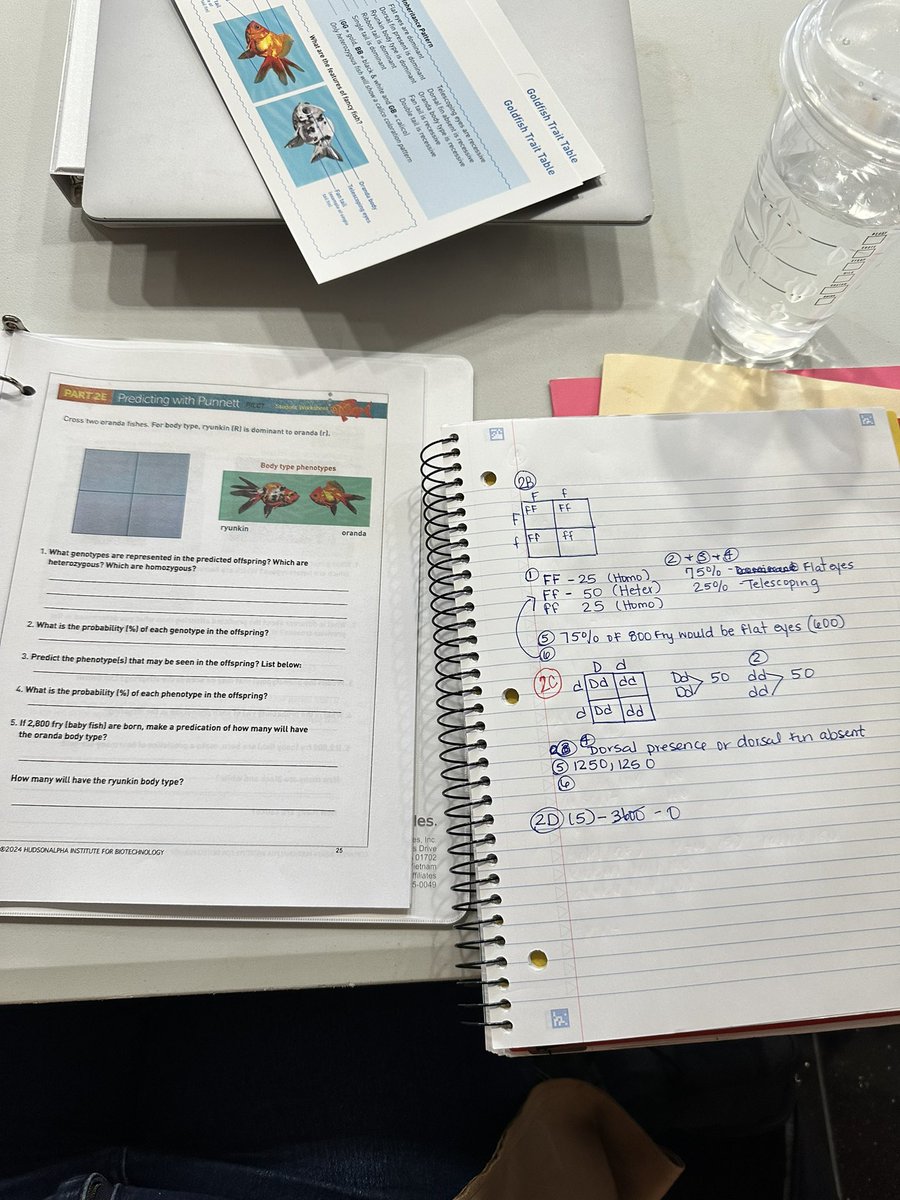 Shundasia Lewis-Brooks tweet media