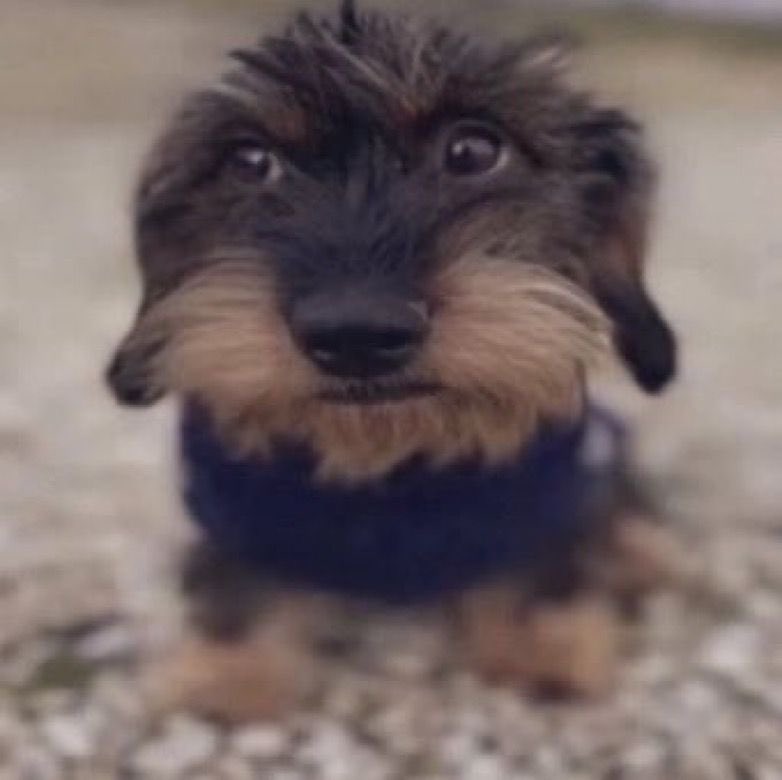 lau ─୨ৎ tweet media