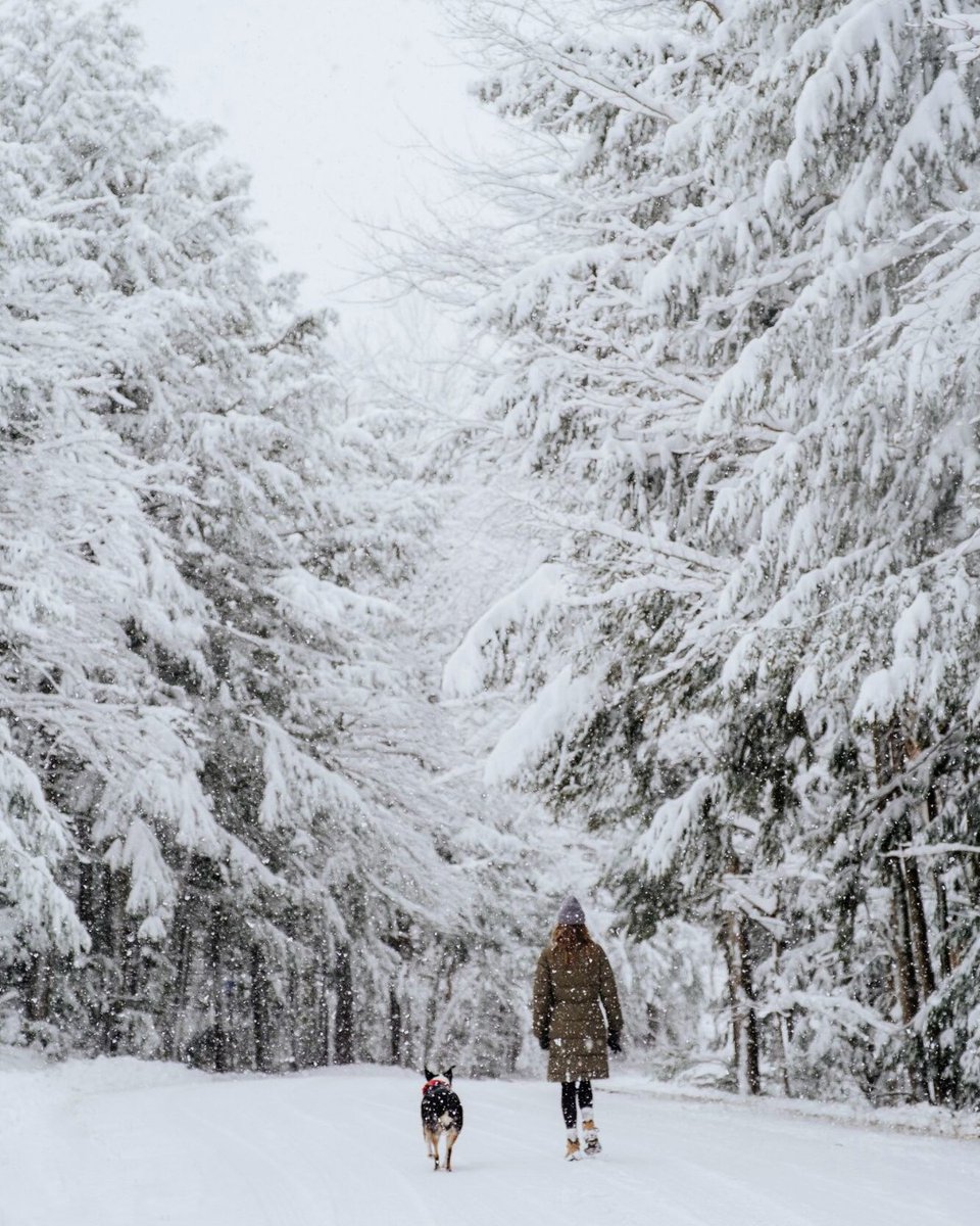 ThinkVermont tweet media