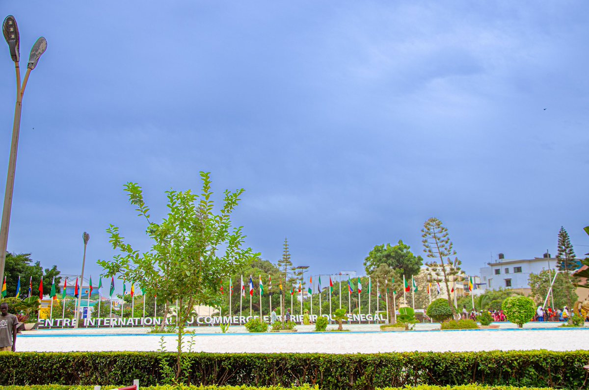 sowdigital221's tweet image. #fidak