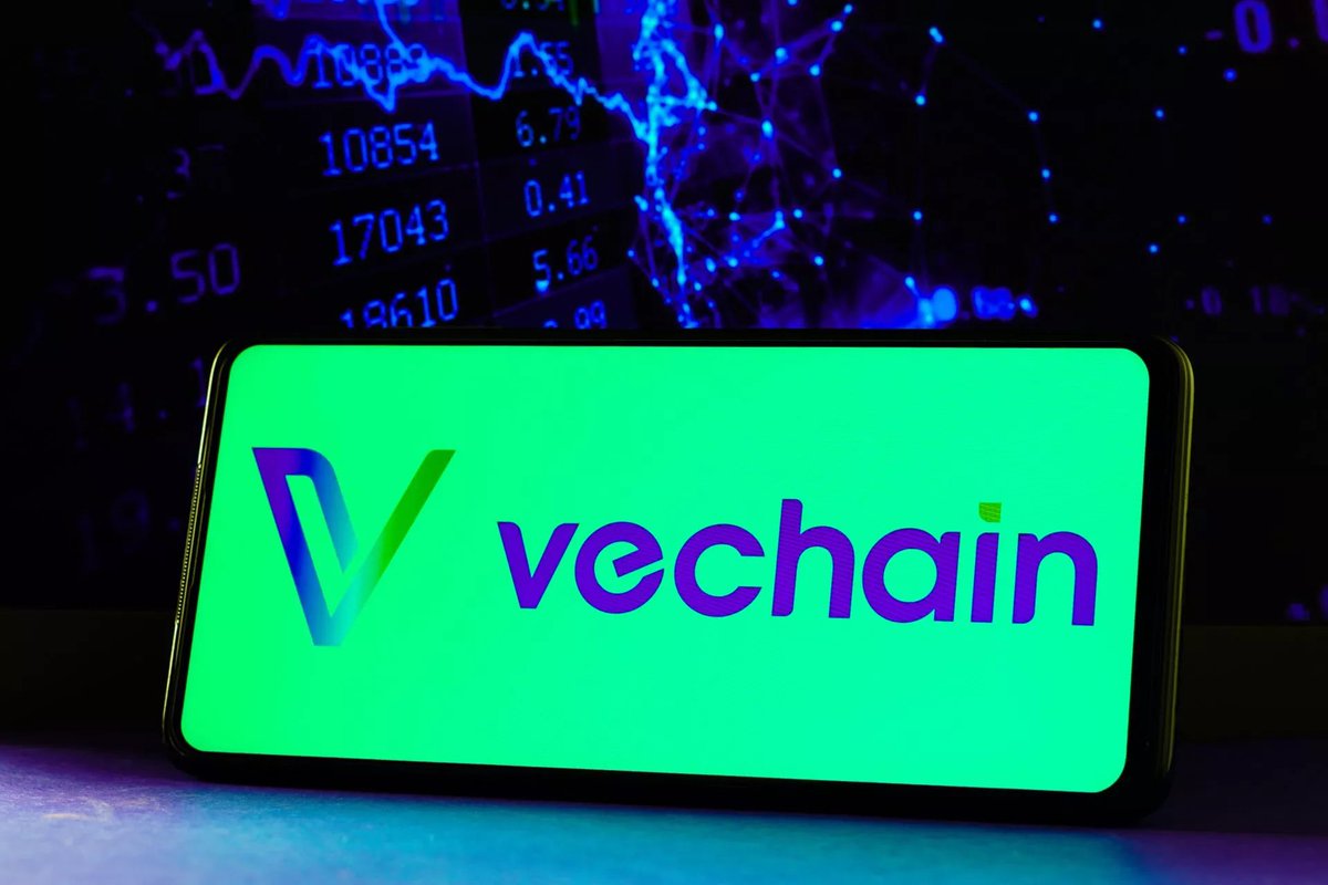 VX_RWA's tweet photo. Calling out @okx, @RobinhoodApp and @Bybit_Official to list @vechainofficial $VET on your platform! 

Expect massive volume when you have the #VeFam! 
 
#OKX 
#Robinhood 
#Bybit 
#RWA

#Altseason 💎 https://t.co/RwBTuUu9TK