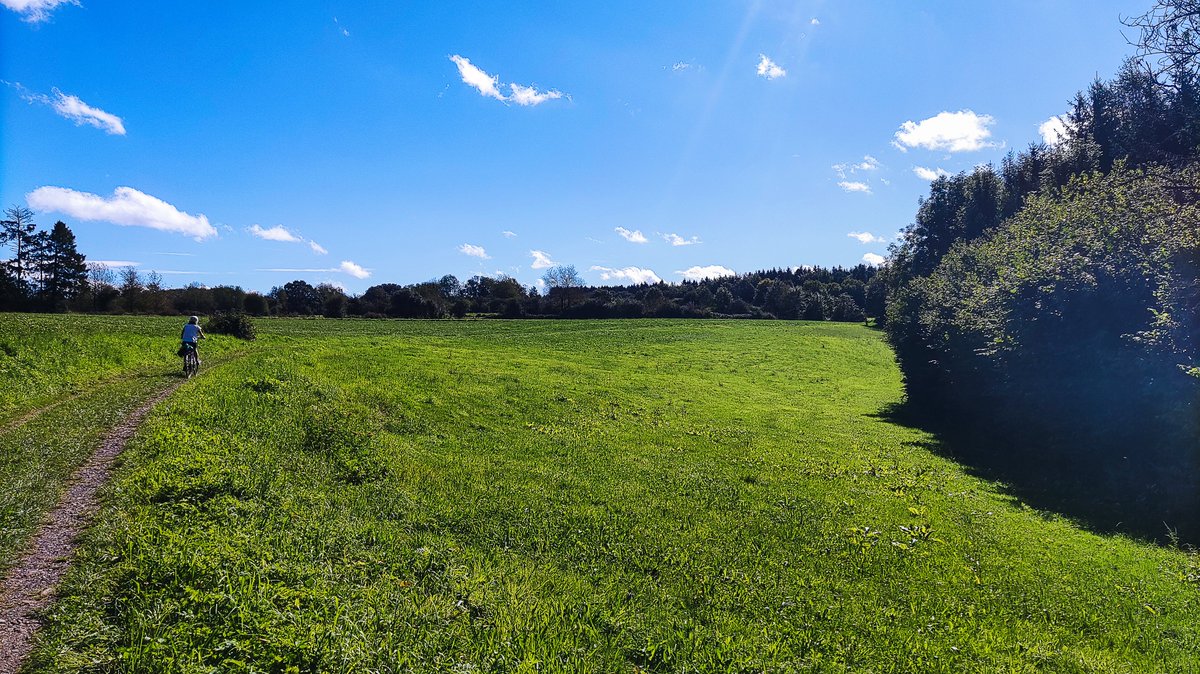 De la Wallonie dans le guidon ! 🚴‍♀️
En 2024, j'ai testé, aimé et approuvé le concept La Fête dans le Guidon ! Deux jours à vélo ou à pied et une étape festival dans les plus beaux coins de Wallonie 🇧🇪
Les dates 2025 sont annoncées : lafetedansleguidon.be
#visitwallonia #àvélo
