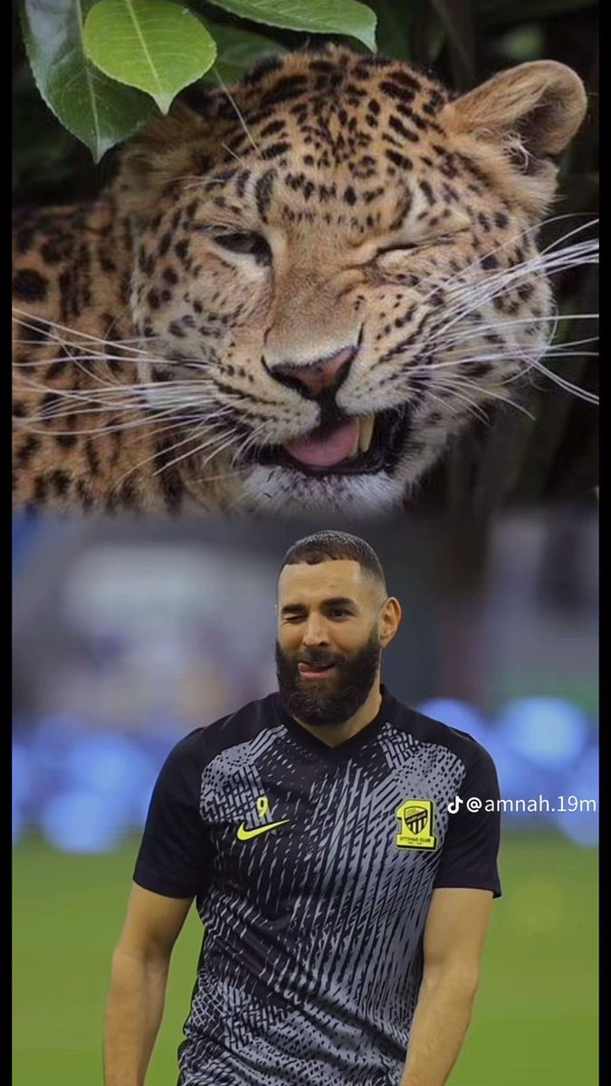 Prof. Mohammed Baeshen (@doooooors) on Twitter photo 