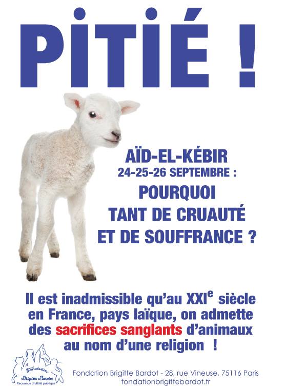 🇫🇷 LouiseFrance75 🇫🇷 🕎 tweet media