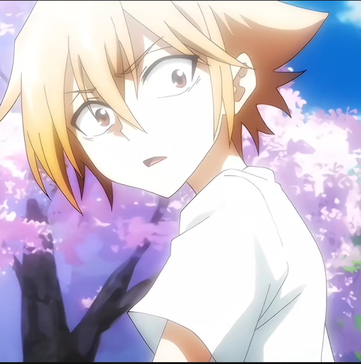 Daily Asakura Family (@dailyasakura) on Twitter photo 