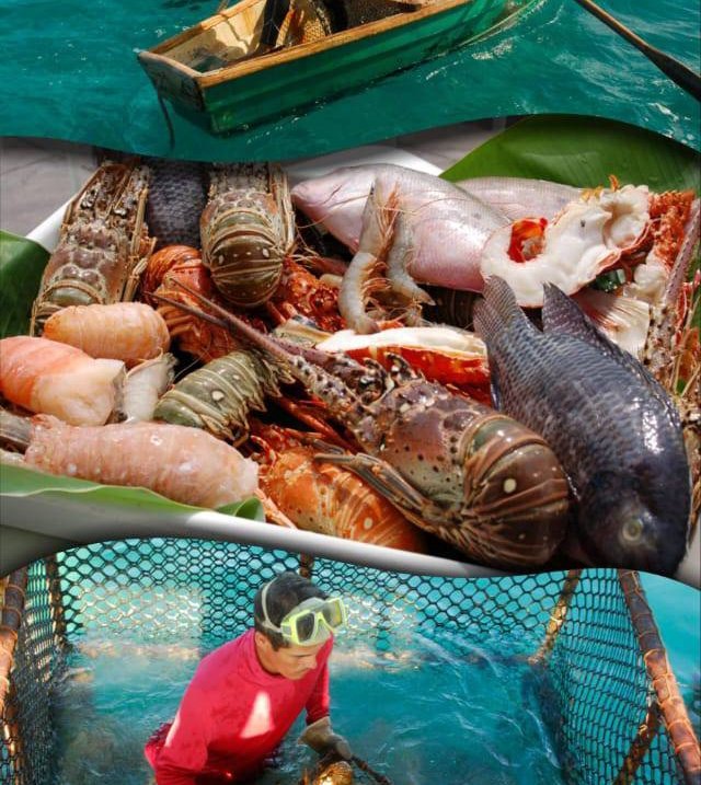 CCaribex's tweet photo. Velar por la calidad de nuestros productos pesqueros, así como prevenir las ilegalidades, son unas de nuestras fortalezas en el mercado internacional #CubaSegura
#PescaXCuba https://t.co/7pGGDE1QdP