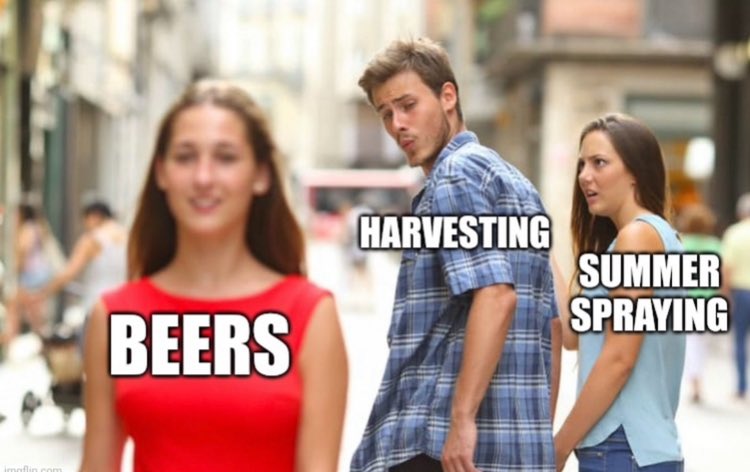 Dave Nitschke (@davenit23) on Twitter photo 