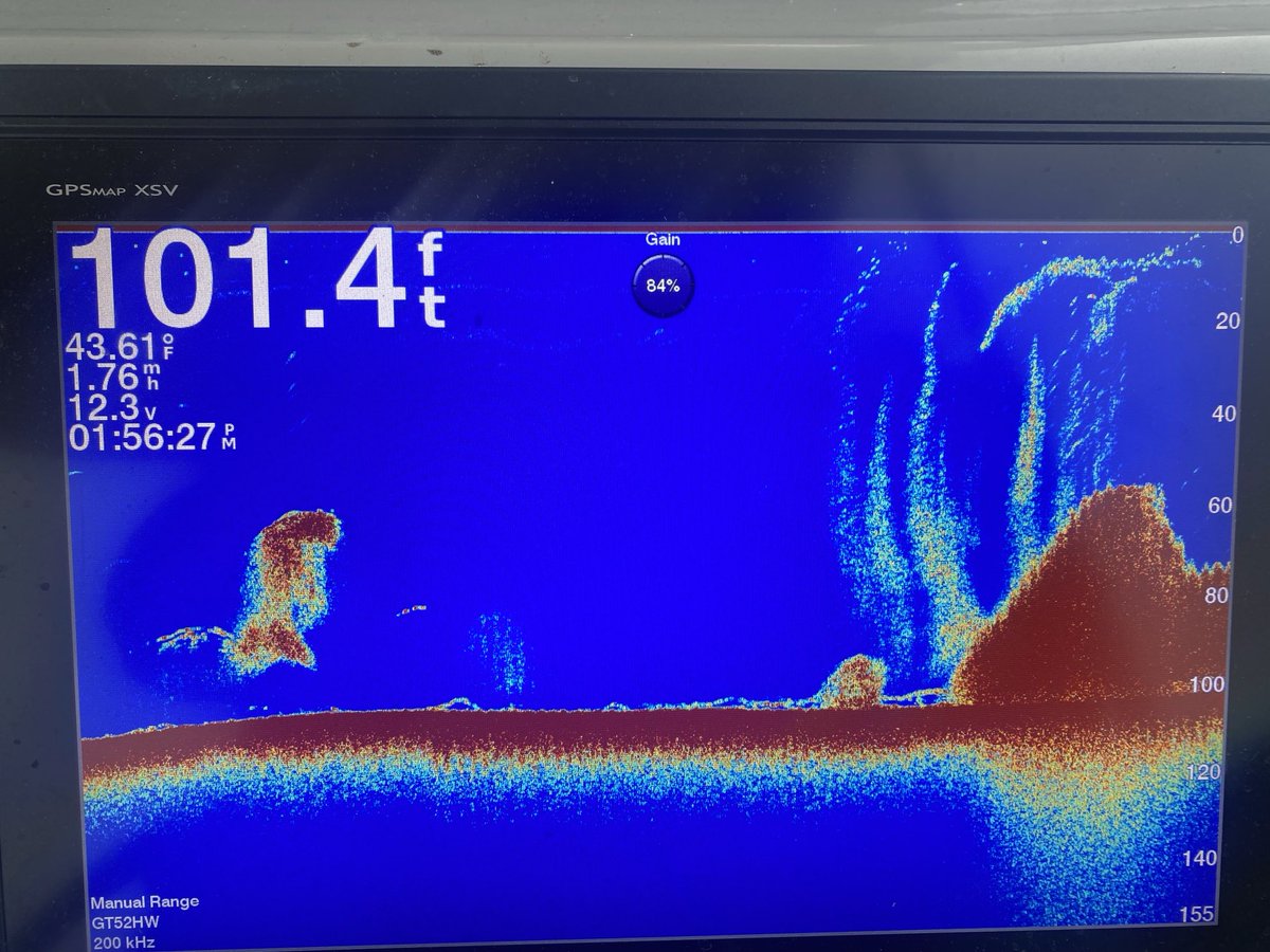 BLCFishing's tweet photo. Fishing some nice big bait balls this week. You can see the salmon on the bottom and the arcs up higher. The salmon were full of Anchovy so I suspect that is what these bait balls were. #salmonfishingvancouver #salmon #tourismvancouver #fishing https://t.co/gCMK1Fe1KR