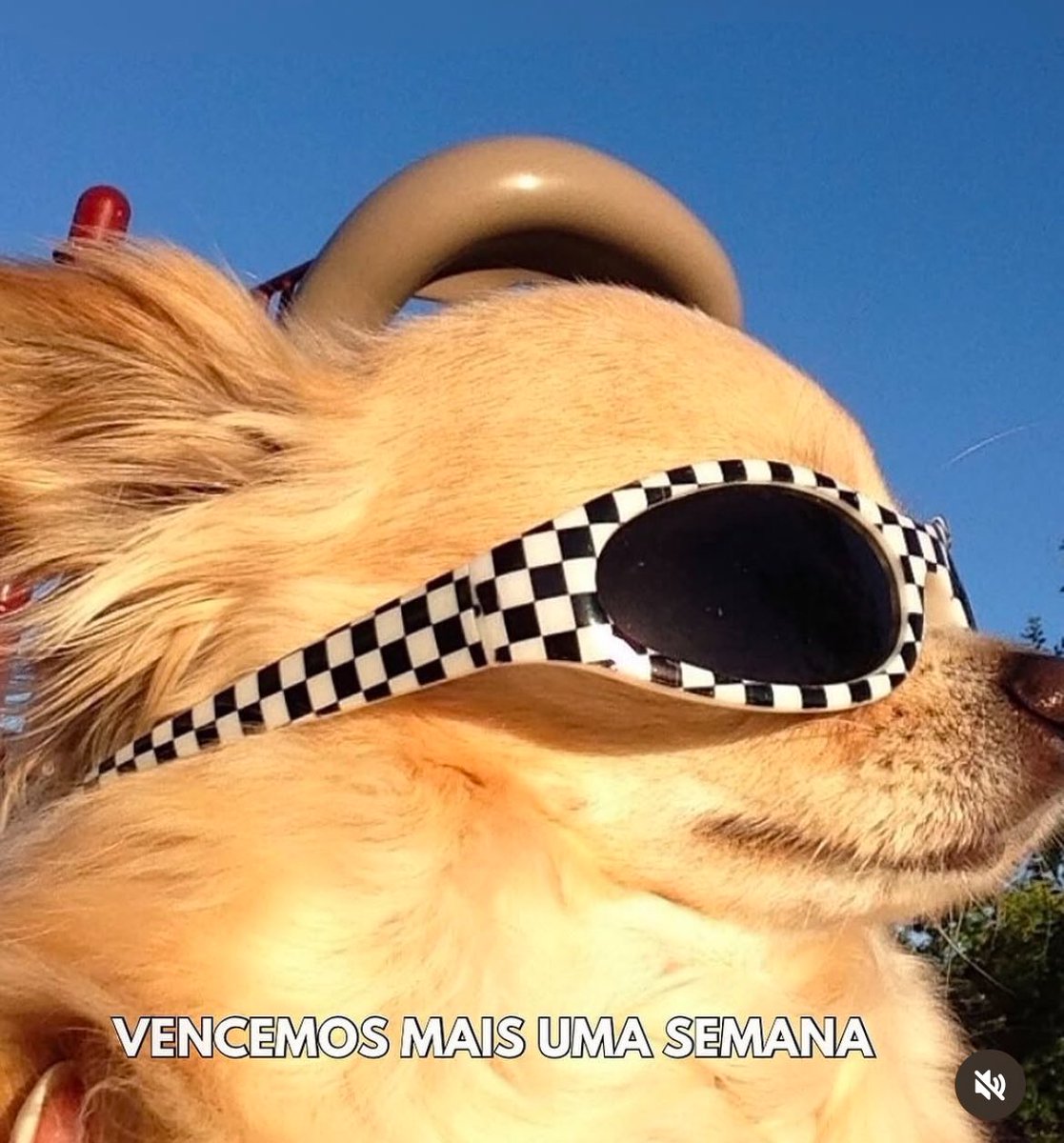 Trouxinha (@euovitinn) on Twitter photo 