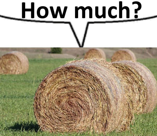 Bigchamp tweet media