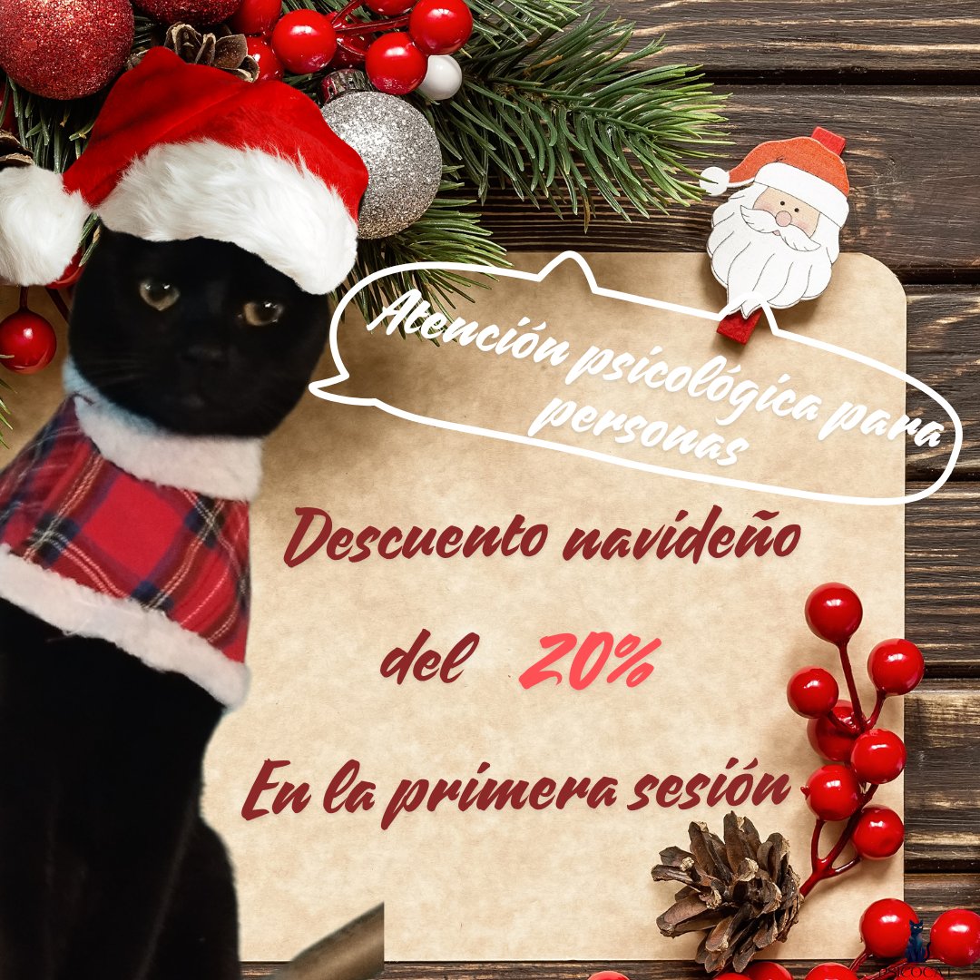 Psicocat_AP's tweet photo. ¿Ya nos conoces? 
Envíanos un mensaje para conocer los horarios disponibles 🐈‍⬛

#psicocat #Psicologia #ULTIMAHORA  #descuentos #NavidadesAlegríaYPaz https://t.co/j9Htw23bAH