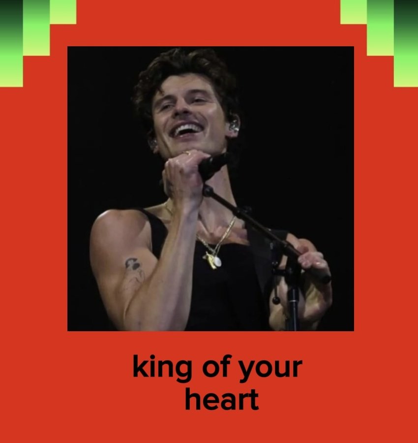 whyyoushawn's tweet image. Shawn Mendes: