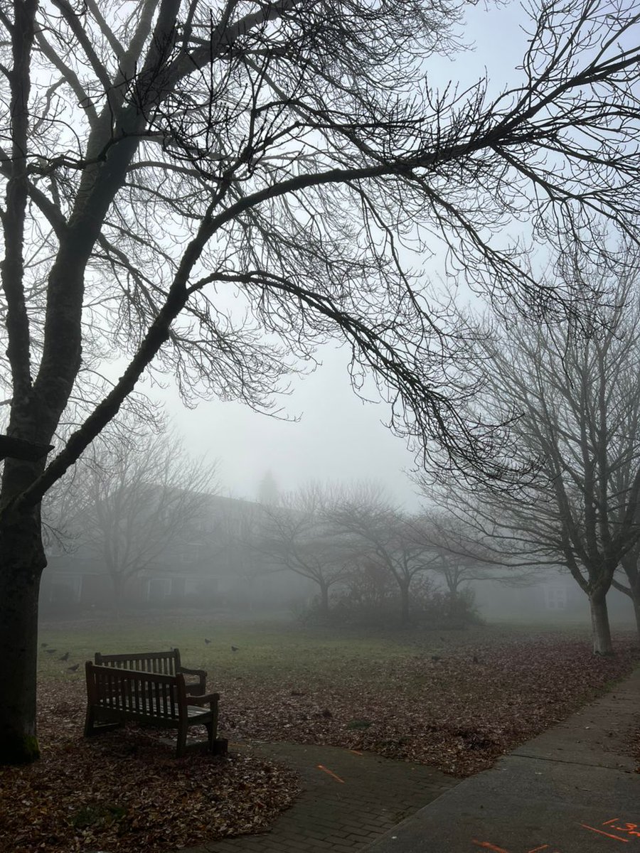 St. John's College UBC tweet media