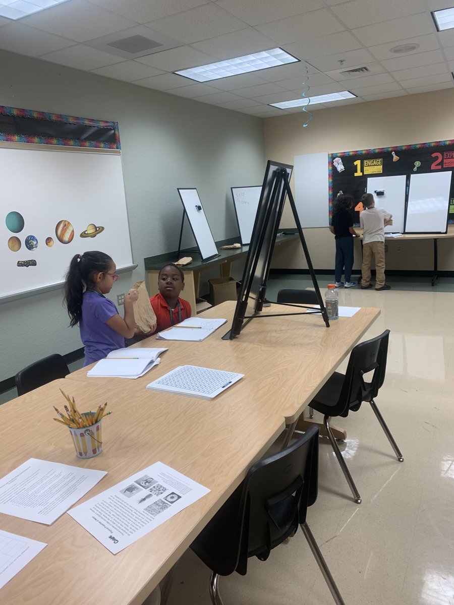 Holly Melms tweet media