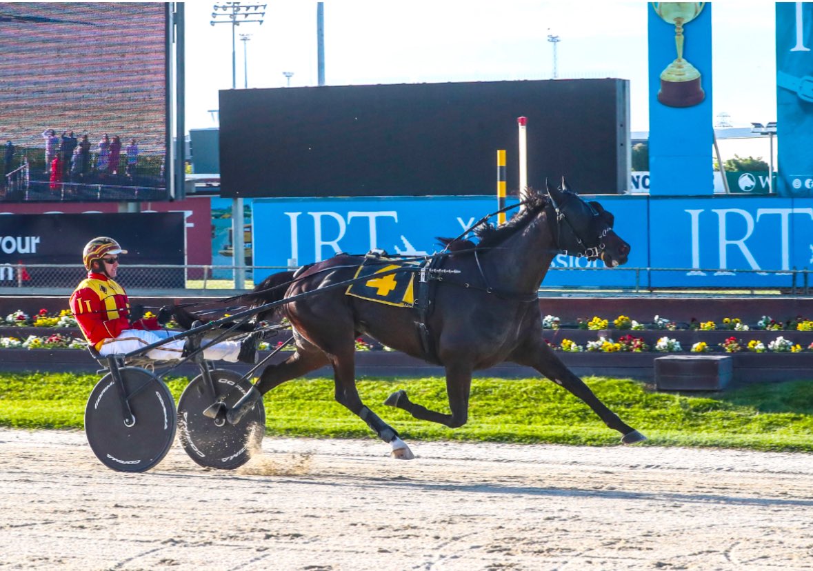 AdamHSport's tweet photo. 🔥KEAYANG ZAHARA🔥
14 starts/14 wins
7 x Gp1 wins (plus the $500k Ascent)
First start: Won Maryborough, April 3
Banked almost $700k
Aggregate winning margin: 206.1m (average 14.7m)
Won in two countries across five tracks.
Pic: @HarnessRacingNZ https://t.co/dIUlPRHMqW