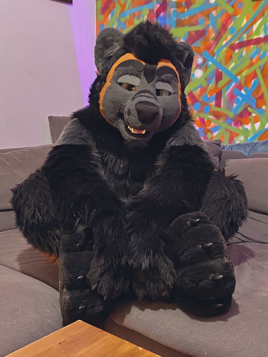 _royce's tweet photo. hey, its my birthday 🎂 

#fursuitFriday https://t.co/gwdNkSTzqU