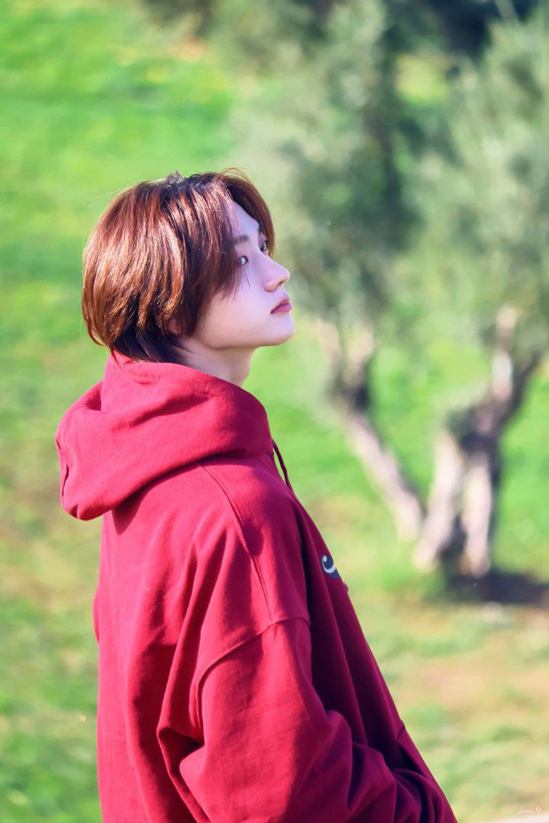 taesanifyy's tweet photo. some park sungho bias awakening happened https://t.co/0JoH4E9yVW