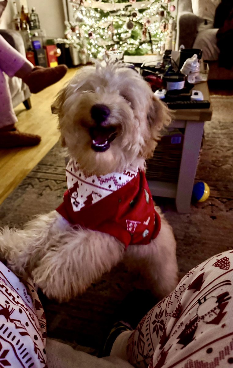 Charlie and I all set for #LateLateToyShow