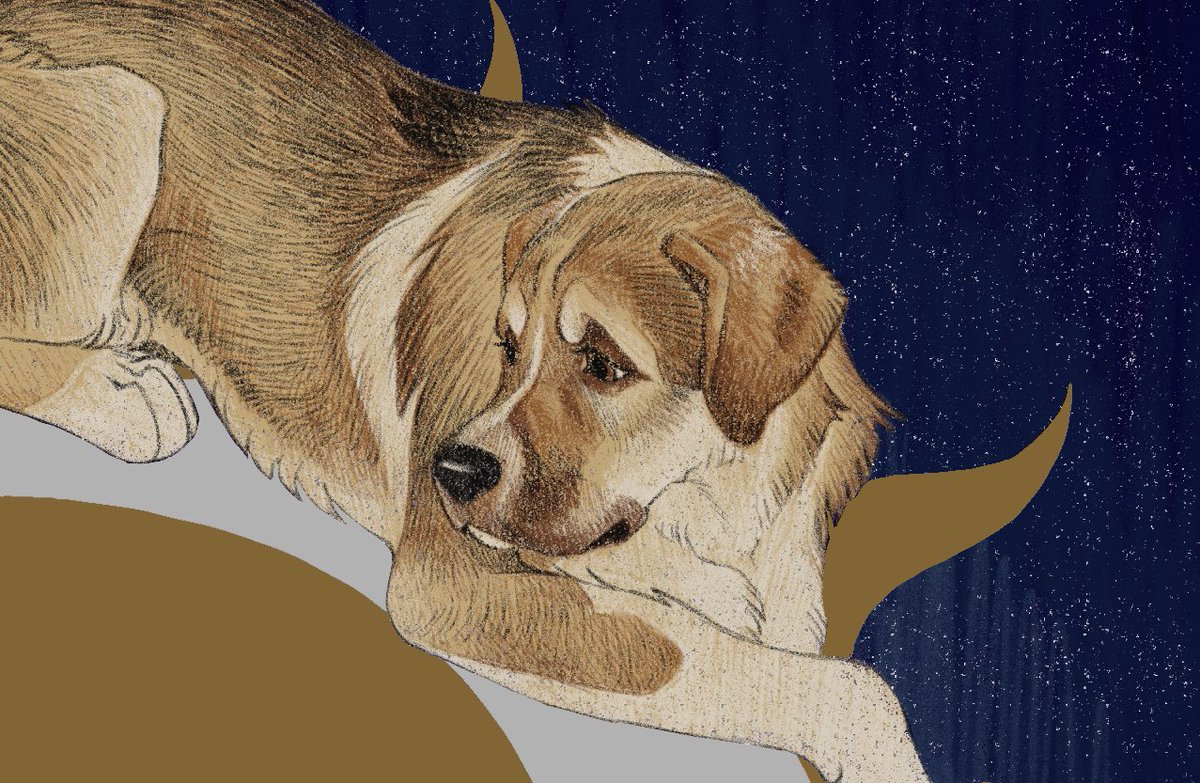 KaiaPanito's tweet photo. Today I wanted to show you some of the pieces I’m working on right now… lots of commissions of beloved pets! 💖 #petart #dogart #commissions #wip https://t.co/gUKMAKIVyB