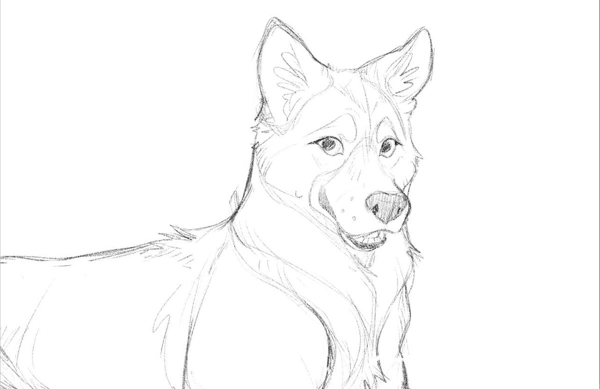 KaiaPanito's tweet photo. Today I wanted to show you some of the pieces I’m working on right now… lots of commissions of beloved pets! 💖 #petart #dogart #commissions #wip https://t.co/gUKMAKIVyB
