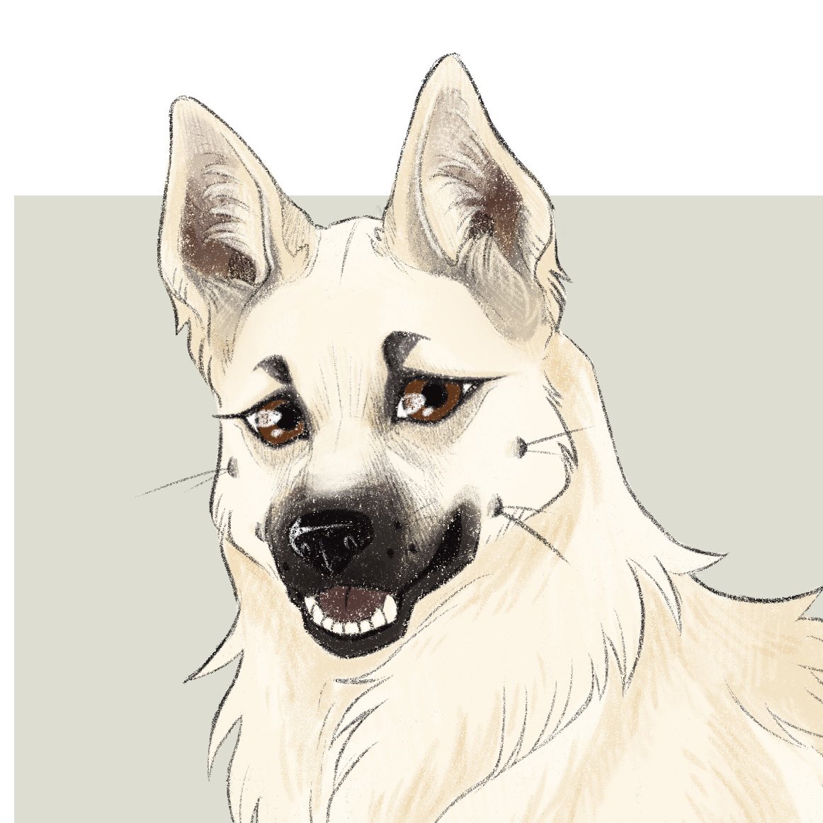 KaiaPanito's tweet photo. Today I wanted to show you some of the pieces I’m working on right now… lots of commissions of beloved pets! 💖 #petart #dogart #commissions #wip https://t.co/gUKMAKIVyB