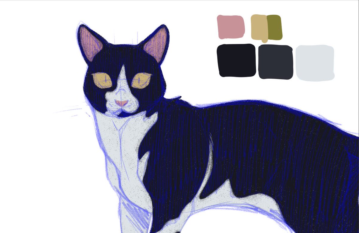 KaiaPanito's tweet photo. And some cats too! Last one is a gift for my sister, drawing of my own dogs, Helio and Kyo. https://t.co/mJnNJHdgQo