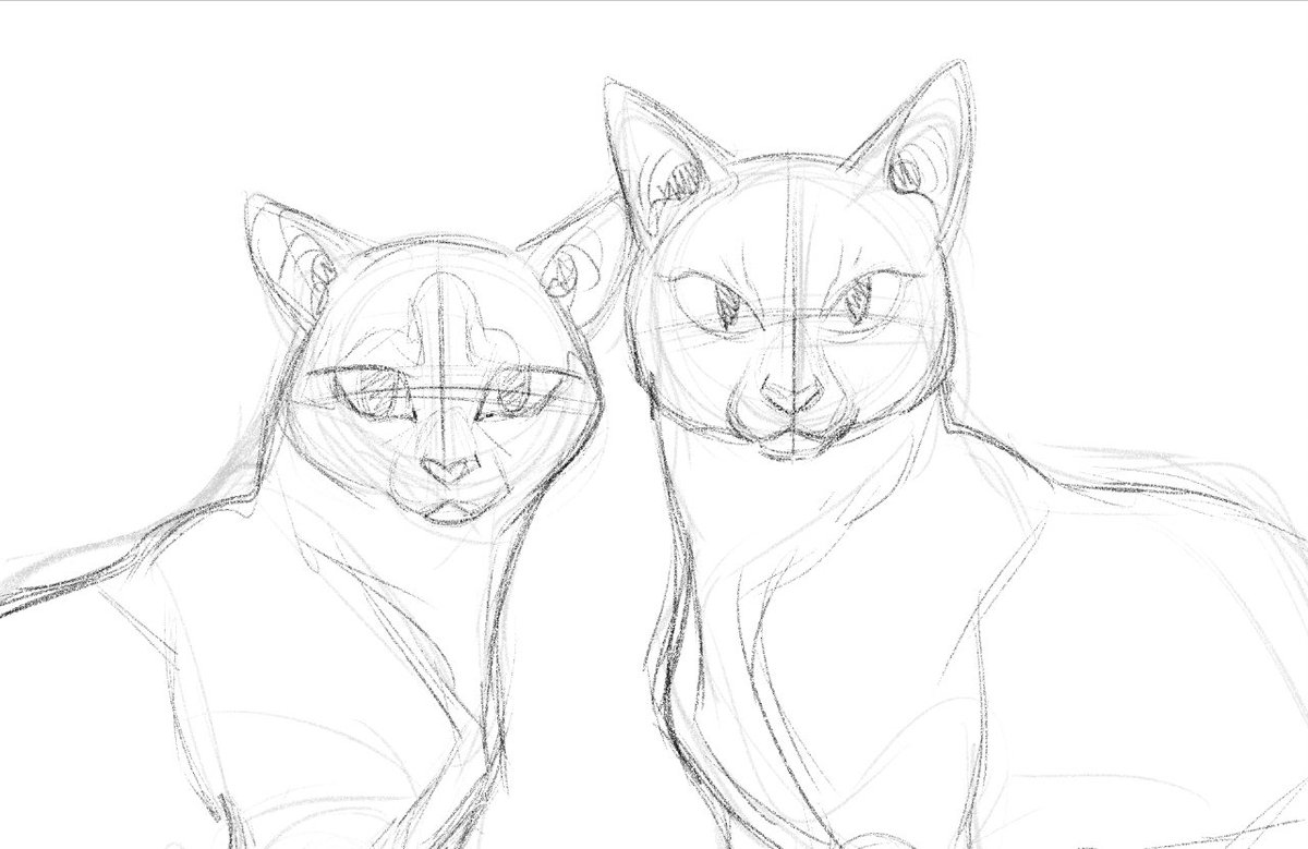 KaiaPanito's tweet photo. And some cats too! Last one is a gift for my sister, drawing of my own dogs, Helio and Kyo. https://t.co/mJnNJHdgQo
