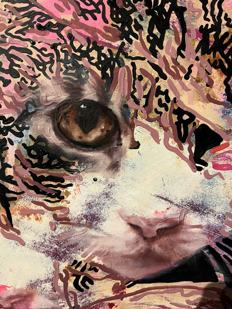 Kathleen Smith tweet media