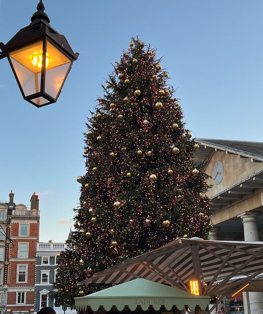 MapandFamily's tweet photo. All the best things to do in Covent Garden London this weekend. Christmas lights, market finds, hot chocs, mulled wine on cosy terraces, and lots of gift ideas. @coventgardenldn #visitLondon #Christmasmarkets https://t.co/AbnmgWkw9D https://t.co/kTnKg3pdSO