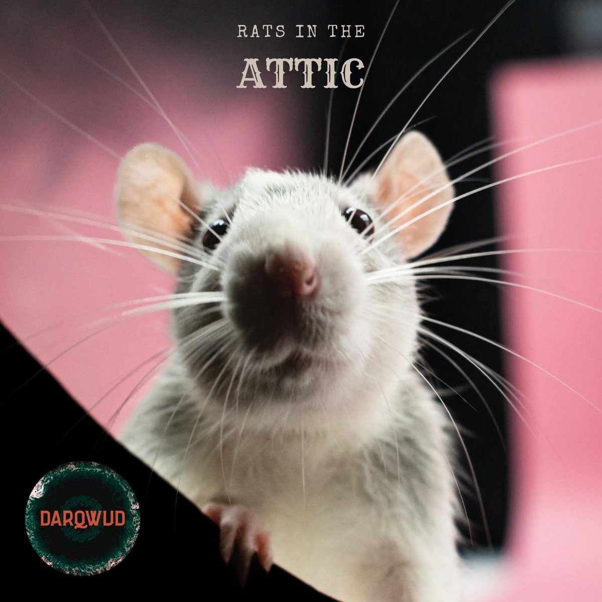My latest release, Rats in the Attic, is available now hypeddit.com/darqwud/ratsin…