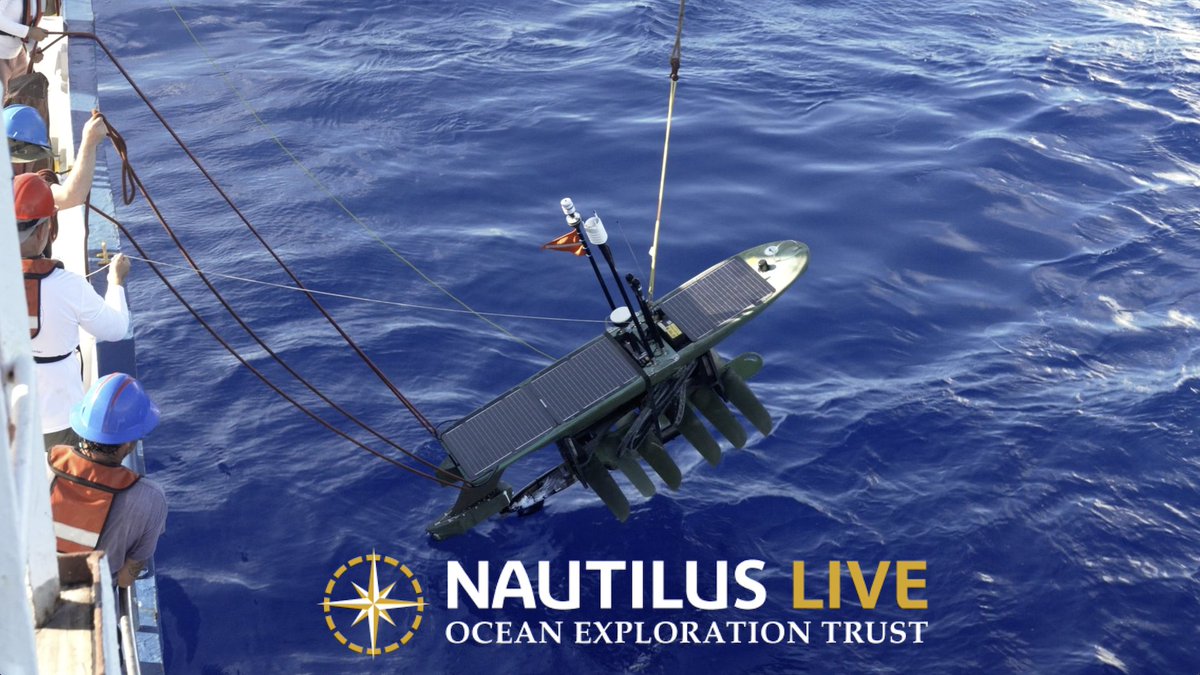 EVNautilus's tweet image. OET and @oceanexplorer are joined by @Scripps_Ocean  on the NA169 expedition to use #remotelyoperatedvehicles, #seafloormapping, and #midwater exploration to study how the #biologicaldiversity around Palau is impacted by the physics of currents interacting with the island.