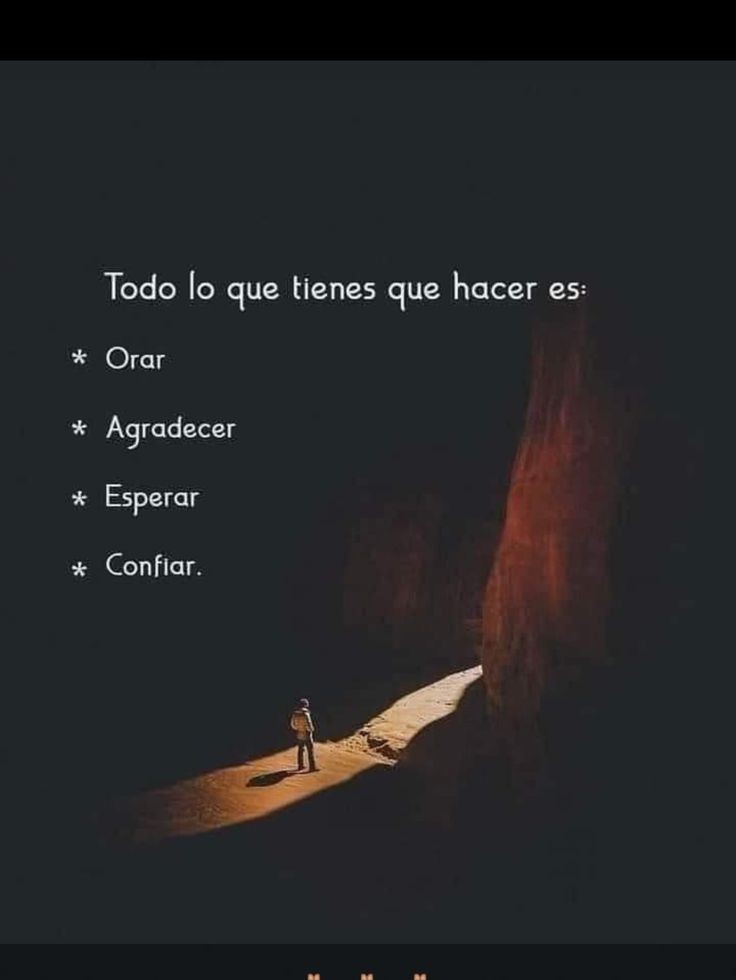 el Siervo (@elsiervo__) on Twitter photo 