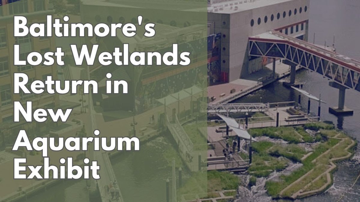 Another look at the unique and groundbreaking project ISCO had a hand in, assisting in the creation of floating harbor wetlands in Baltimore at the National Aquarium: hubs.la/Q02-NMhB0