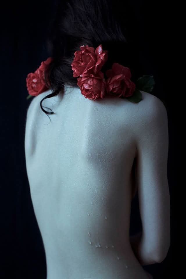 Narcissou1's tweet photo. #fleuritonfil https://t.co/iHbB3wLo4D