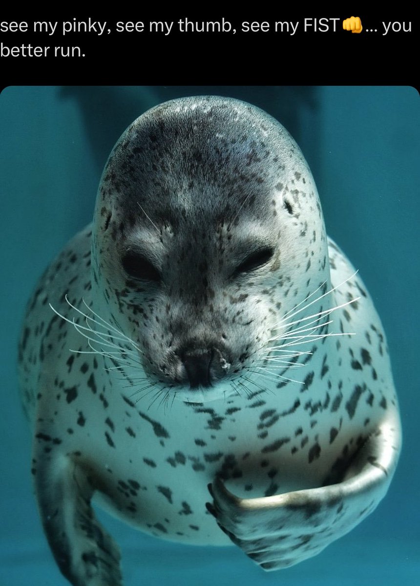 Luke 🏝️ ♡ (Alt) tweet media