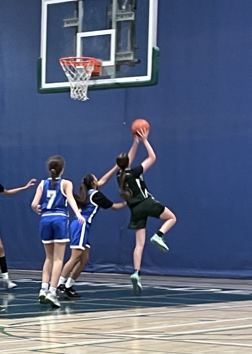 Evolution Basketball Academy tweet media
