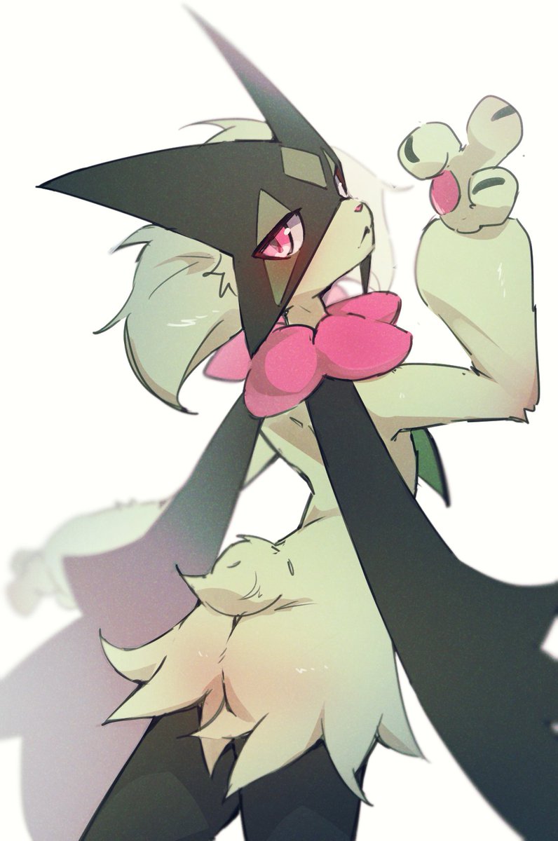 どくも tweet media