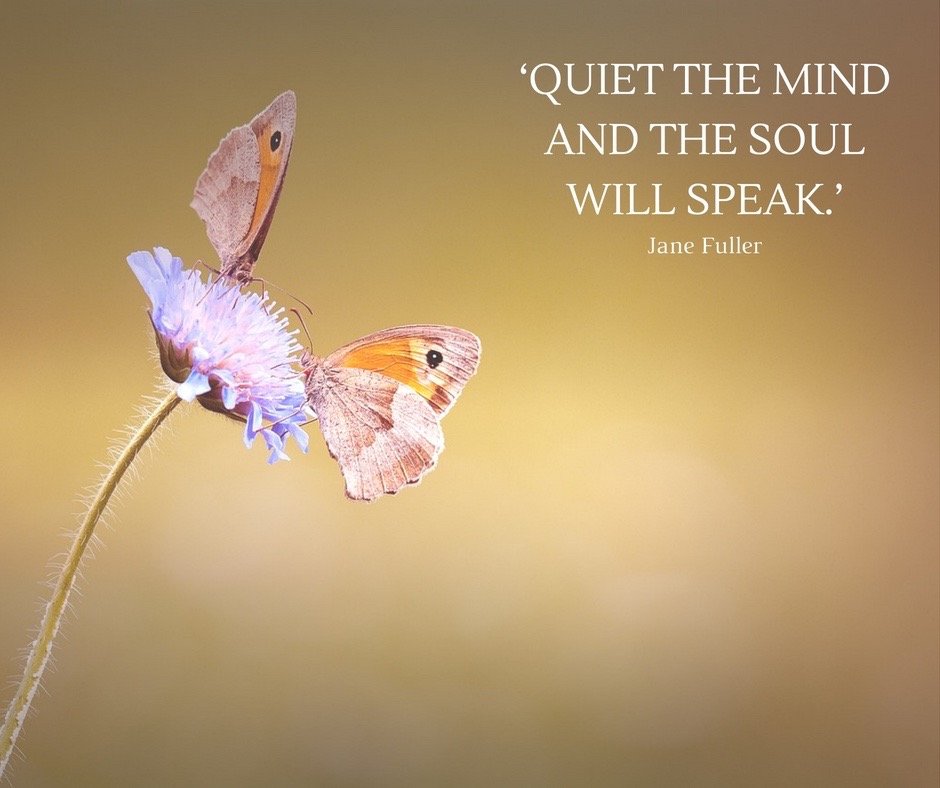 TheCarceri's tweet image. HERMIT RULE 6:
Be quiet in body, mind and spirit. Don't hurry either in speaking or responding and be distrustful of your own urgency.