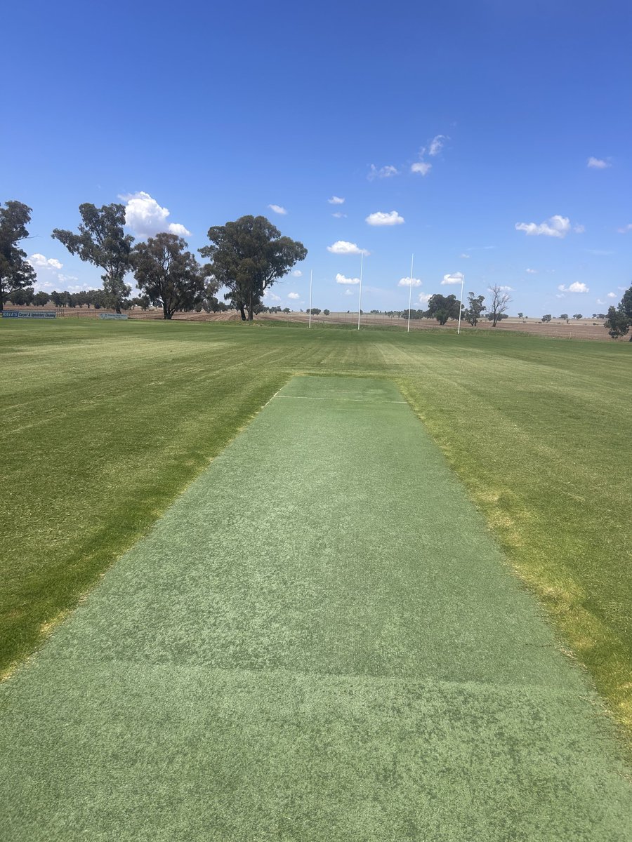 sprayoperator's tweet image. When you get more rain in 10 days in November than the entire 2024 growing season it makes for a great looking oval for cricket #osborne ⁦@gooden_heidi⁩ ⁦@arjfowler⁩
