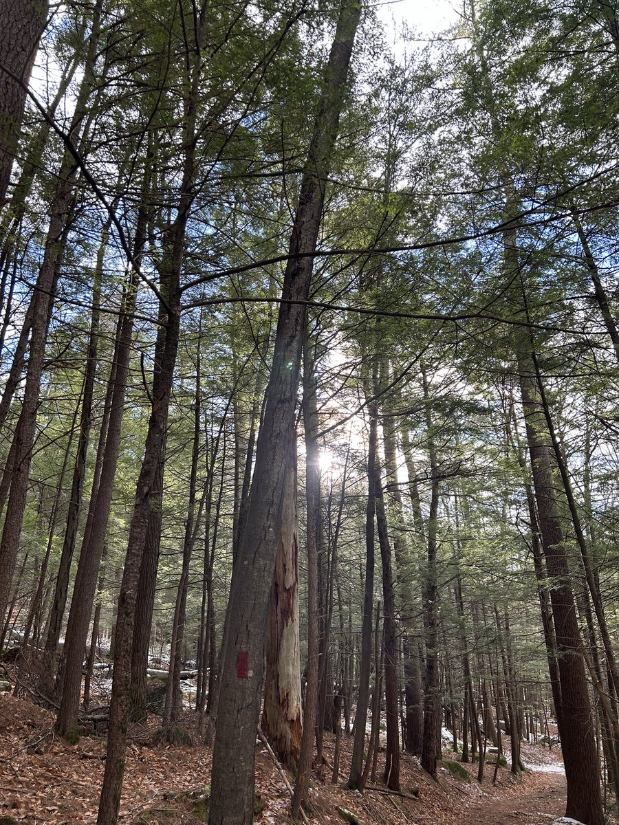 While I was at MacDowell composing ensemble music, I recorded some short songs and improvisations in my studio during my two week stay. You can stream them for free here: sunkenhelmets.bandcamp.com/album/macdowel…