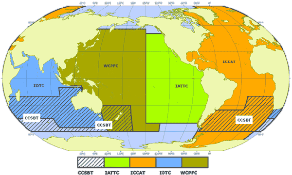 anapASPAC's tweet photo. China has registered 26 Coast Guard vessels to operate in #WCPFC convention area. The CCG will expand its reach beyond the first island chain, allowing them to board any foreign fishing vessels. China will have the 3rd largest maritime security presence in the Pacific, after 🇺🇸🇦🇺 https://t.co/tzUv4CDSMq