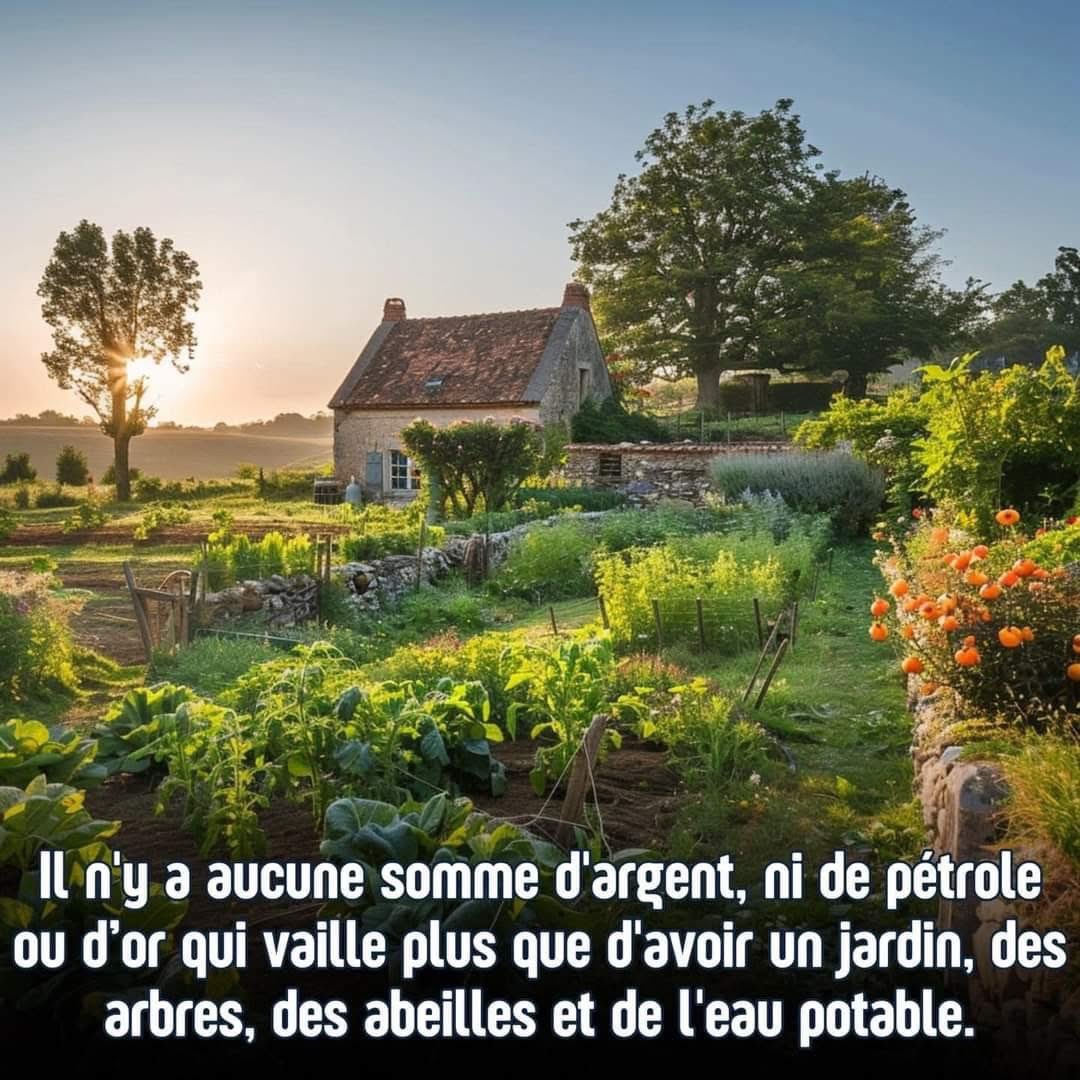 M. ✝️🌞🏰🌊🌿🦚 tweet media