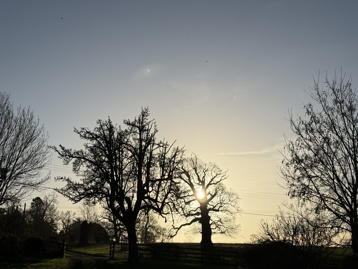 Morning sun… #spetchleysunshine ☀️